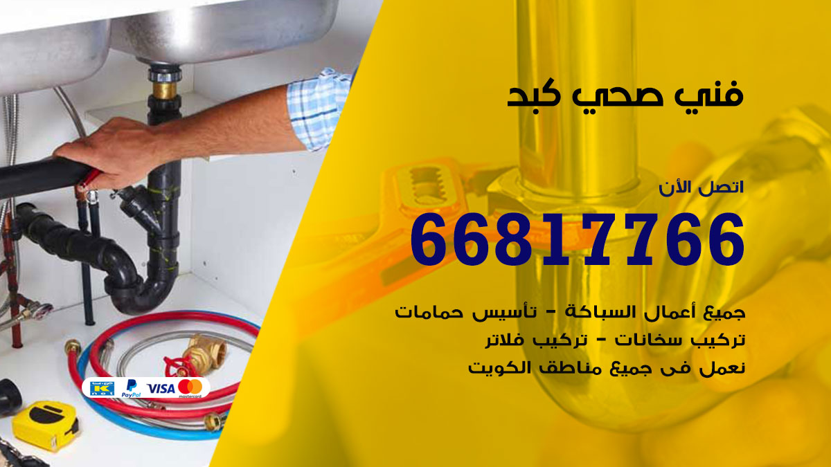 فني صحي كبد