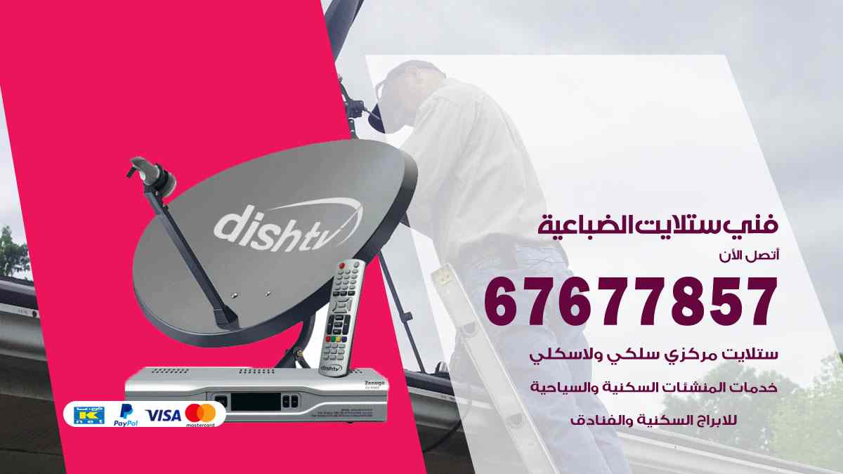 فني ستلايت الضباعية