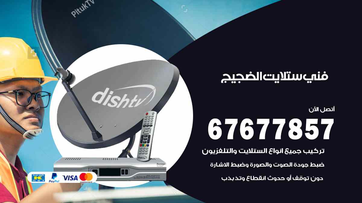 فني ستلايت الضجيج