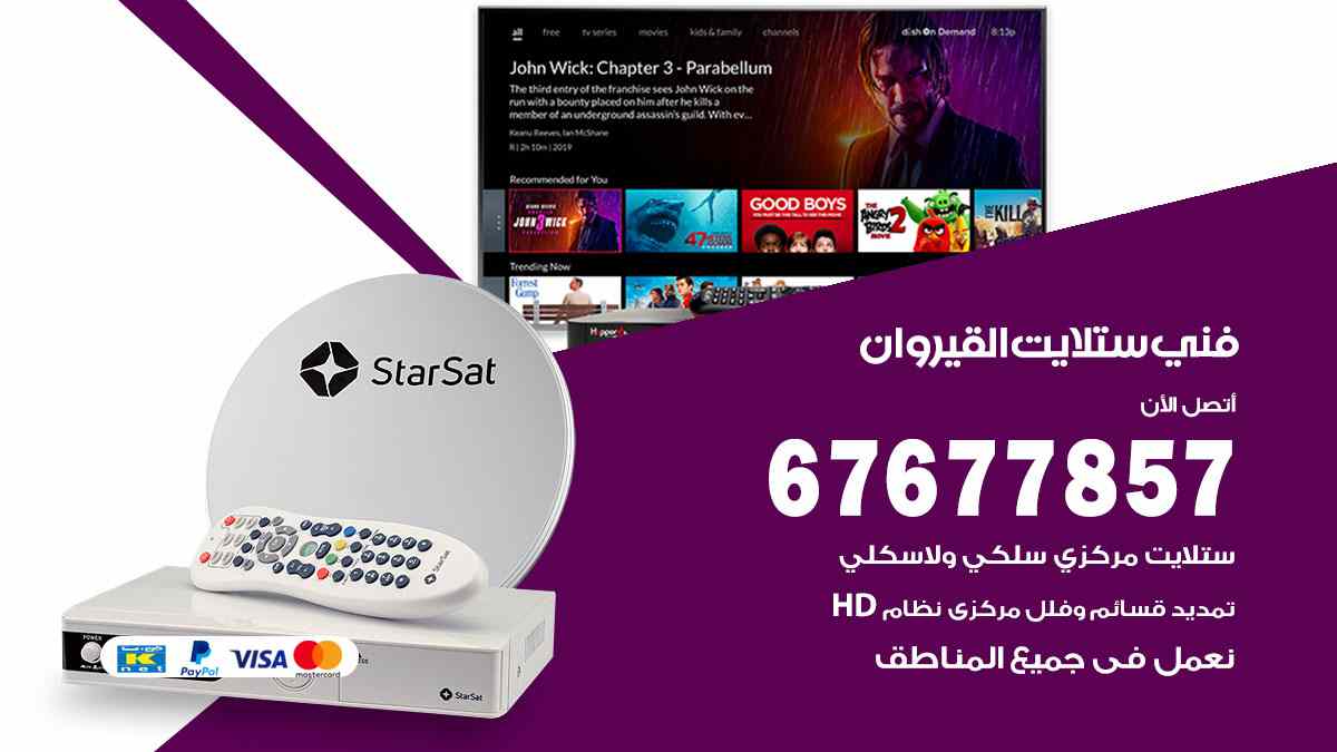 فني ستلايت القيروان