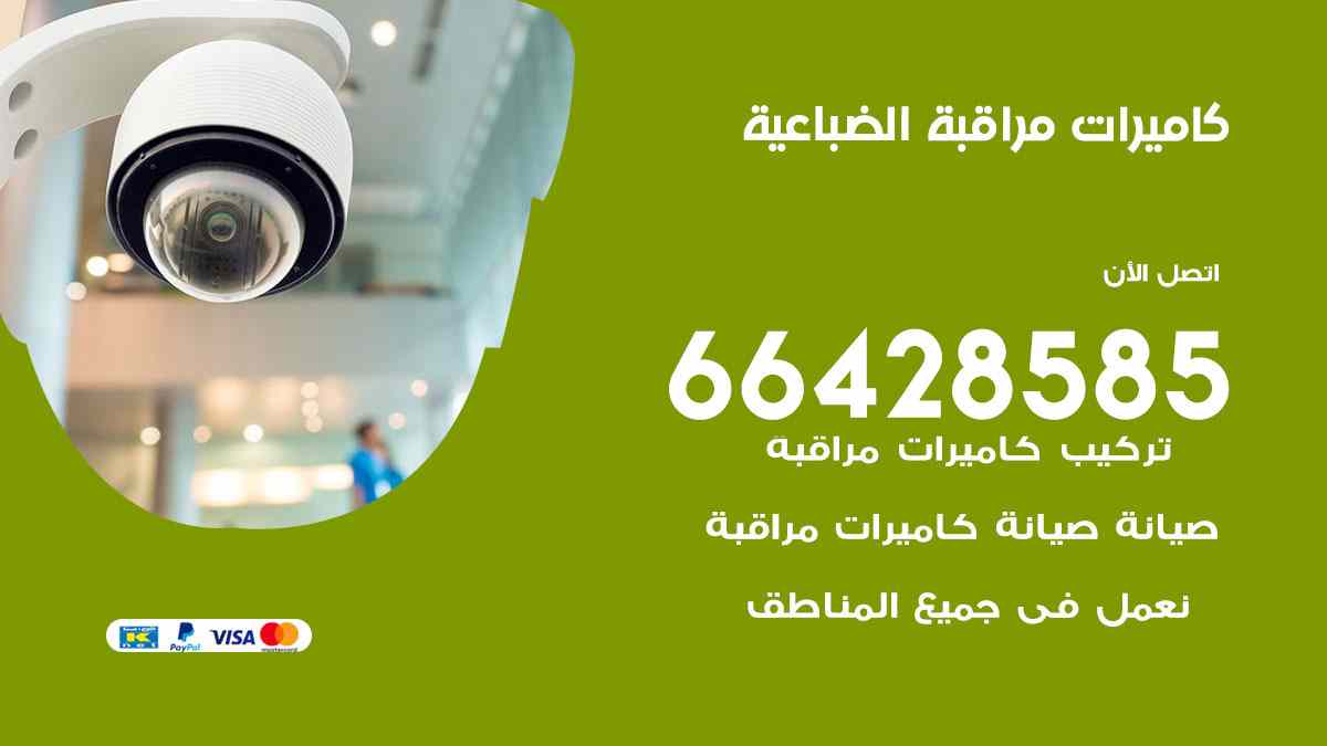 كاميرات مراقبة الضباعية